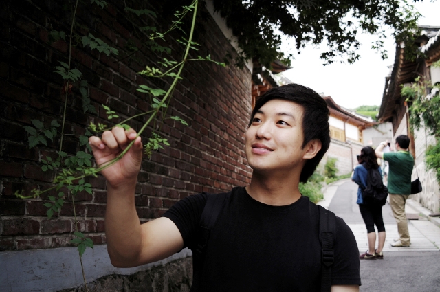 키바 KIVA