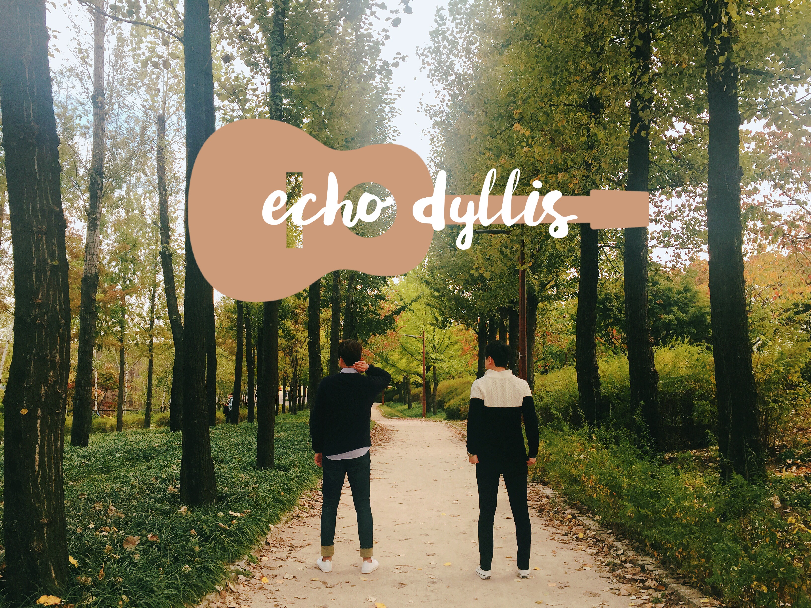 에코딜리스 Echo Dyllis